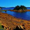 'Inner' Placentia Bay-near Swift Current, Newfoundland