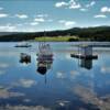 Garden Cove Inlet.
'resting fishing boats'