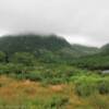 Southern Hills.
Near Stephenville,
Newfoundland.