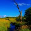 'Nova Scotia Backcountry' near Digby, Nova Scotia