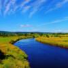 Mid-summer along the Annapolis River Valley