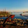 Shelburne's Inner Harbour