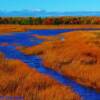 Cumberland County, Nova Scotia amidst the marsh and autumn foliage