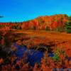 Beautiful mid-October foliage-near Truro, Nova Scotia