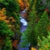 Interspersed fall colors-Colchester County, Nova Scotia