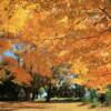 Beautiful 2012 autumn.
Lunenburg County, NS.