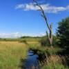 More of rural Nova Scotia
in August.
Annapolis County.