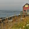 Old fishing shack.
(now Zodiac Tours)
Sandy Harbour, NS.