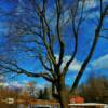 Late winter-in eastern Ontario's Leeds County