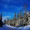Early March-on a back road near Kirkland Lake, Ontario