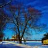 Crisp February morning-near Sturgeon Falls, Ontario