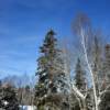 Wintertime cottage.
Gowganda, ON.