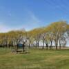 Willow Lane Farm.
Near Perth, ON.