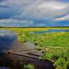 Saskatchewan's northern wetlands-
near Green Lake, SK~
