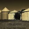 Grouped silos-
near Tuxford, SK~