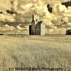 Tuxford, SK grain elevators~