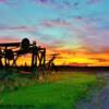 Colorful sunset 'along side' some farm implement machinary-near Moosomin, SK~