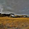 Abandoned ranch.
Tehama County.