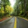 State Highway 36.
Near Mad River, CA.