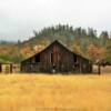 Another old relic.
1940's storage barn.
Trinity County, CA.