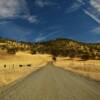 Open cattle ranch.
Northern California.