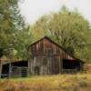 (Frontal view) of this
beautiful old stock barn.