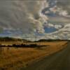 Northern California
Old corral remnants.