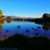 San Frincisco Bay......morning sunrise