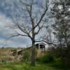 Knights Ferry Covered Bridge.
(framed in the tree)