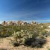 Scenic oasis of rocky bluffs.
San Bernardino County.