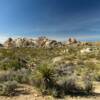 Rocky oasis.
San Bernardino County.