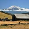 Mount Shasta 
From Day Ranch.