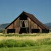 Close up view of this classic
1930's A-Framed barn.
Near Susanville..