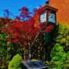 Placerville, California-Clock Tower