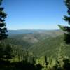 Panoramic view of the 
Sierra pines.
Plumas County.