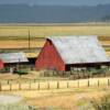 Vintage 1930's stable barn.
Near Portola, CA.
Plumas County.