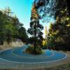 'Hairpin Turn'
Along San Bernardino National Forest's winding roads~