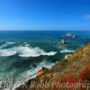 Beautiful Pacific Coast-
south of Monterey, California~