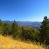 Sequoia National Forest~