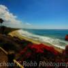 Pacific Coast-
near La Jolla, California.