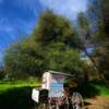 Rough & Ready, California-
(Interesting 'mock-up' landmark)