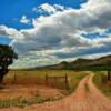 Peaceful setting~
Near Canon City, CO.