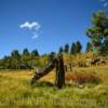 More central Colorado scenery
& early autumn colors.