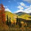 Overlooking Silverton Valley~
(From the south hill).
Some 'bursting reds'.