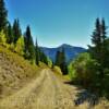 Ophir Forestry Road~
(looking east)