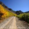 One more view of the 
Ophir Road~
(looking east-up the long ascent).