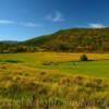 Northern Colorado's highlands.
horse ranch~
