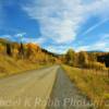 "Milepost 36"
County Road 8
Eastern Rio Blanco County.