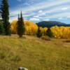 More bright amber aspens~
Near Ripple Creek Pass.