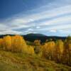 Arapaho National Forest~
Routt County, CO.
